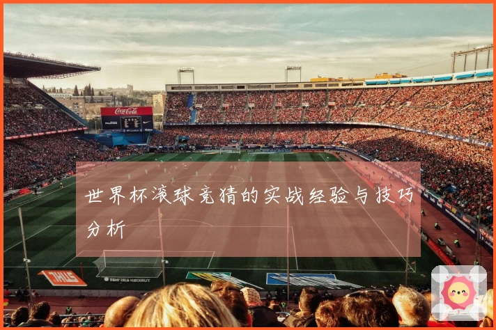 世界杯滚球竞猜的实战经验与技巧分析