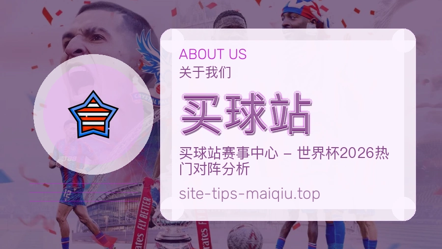 关于 买球站 团队与服务